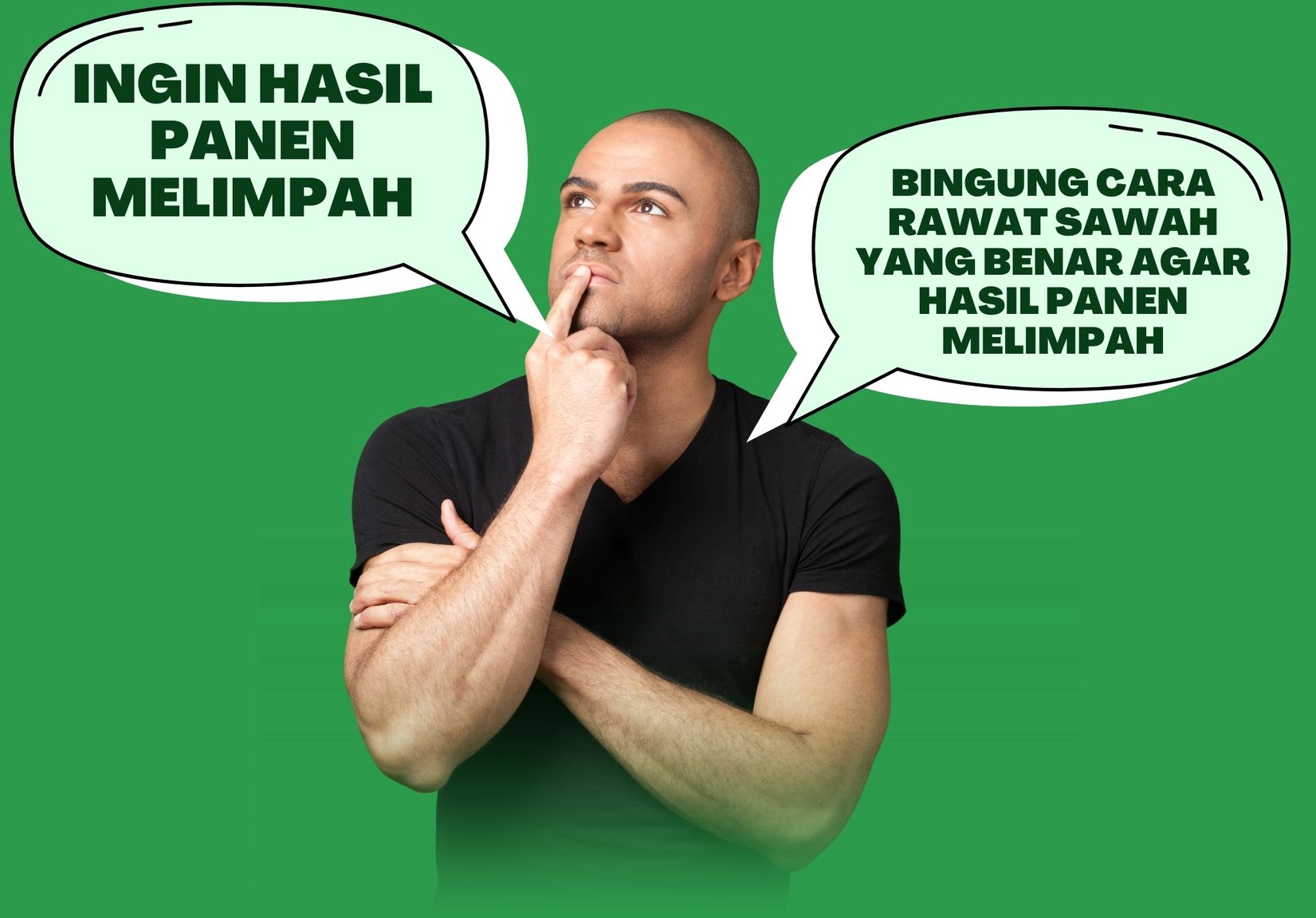 Pupuk majemuk organik bahagia